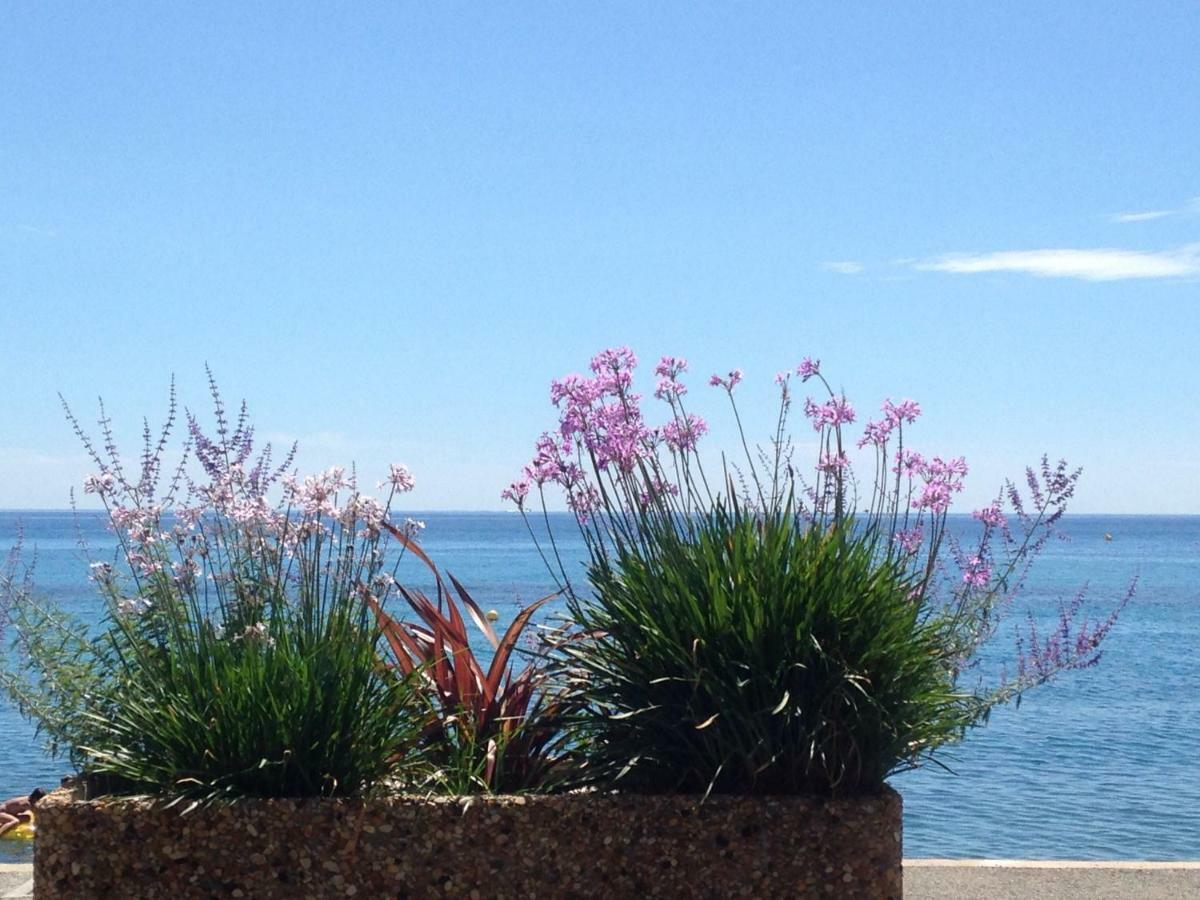 Les Caroubiers Appartement Roquebrune-Cap-Martin Buitenkant foto